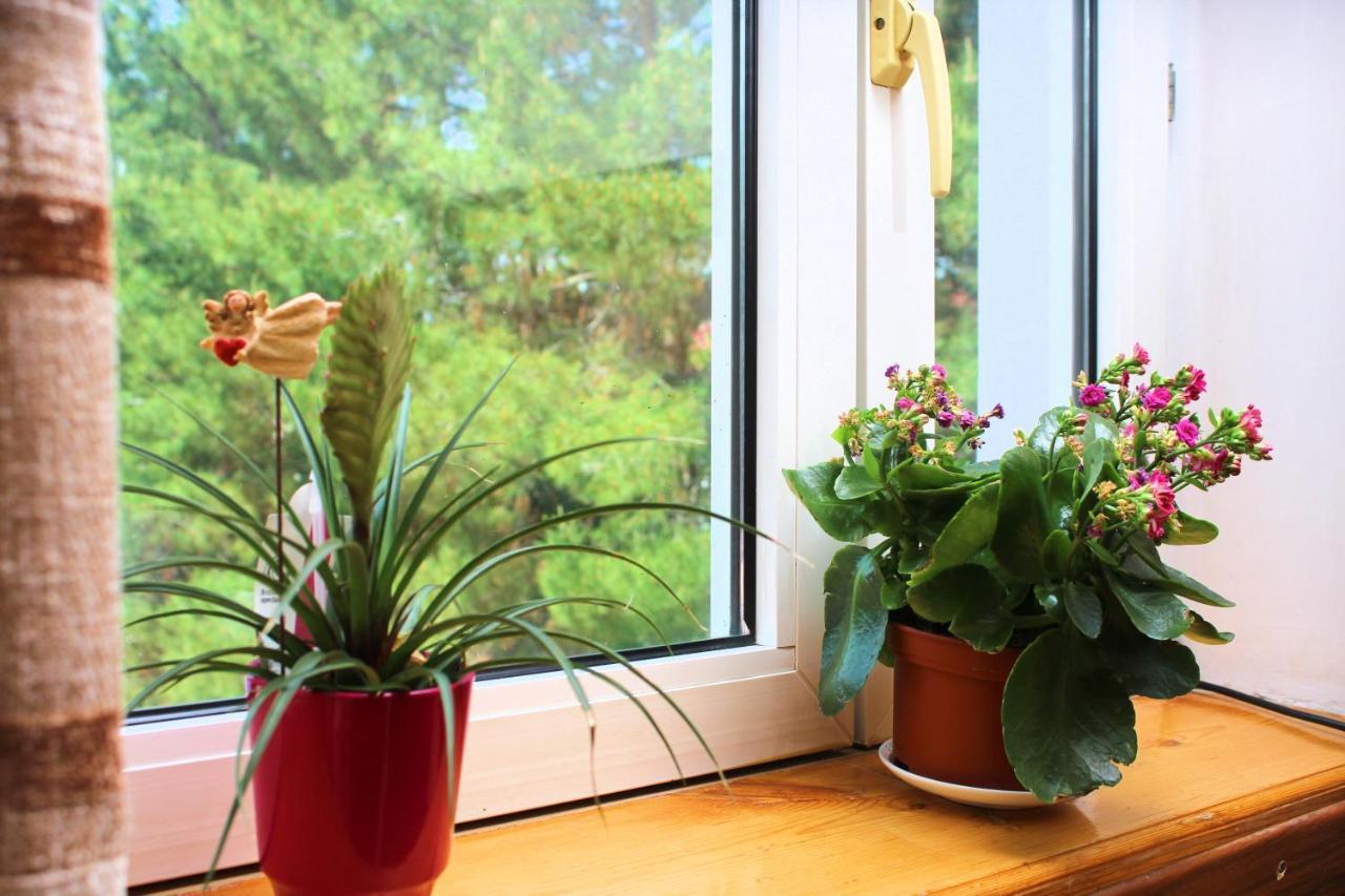 Hotel Grace Garden Kum Ngoại thất bức ảnh
